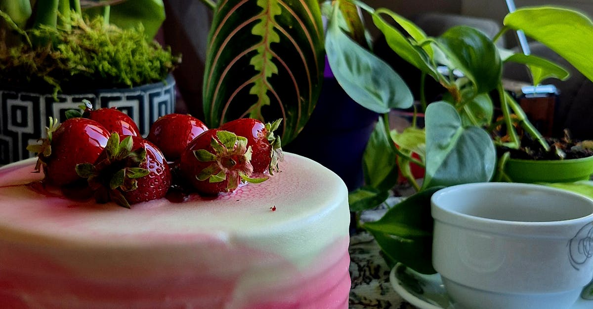 Family-Friendly Cafés: Where to Brunch with Children in Melbourne
